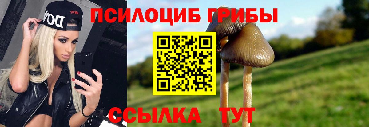 Галлюциногенные грибы ЛСД  Псилоцибиновые грибы MAGIC MUSHROOMS  Одинцово  Вход с VPN 